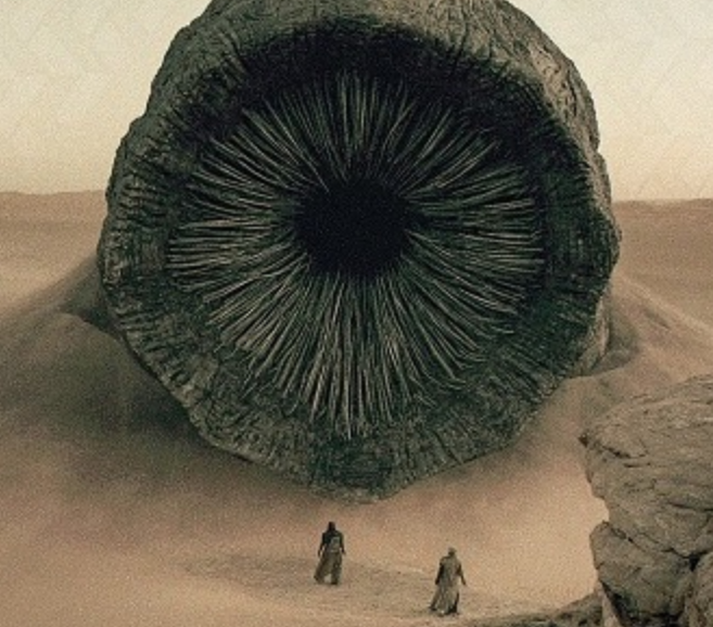 자가 복제 웜이 180개 이상의 소프트웨어 패키지를 공격