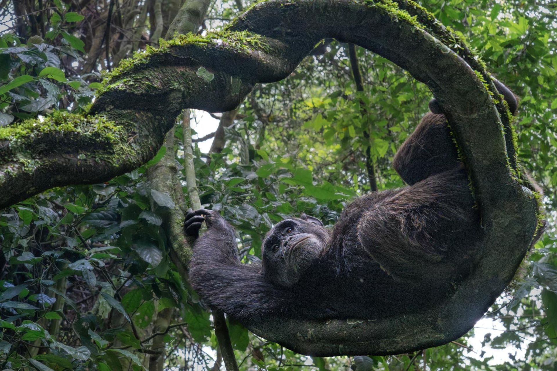 편안히 앉아 올해 Nature inFocus Photography Awards의 수상 이미지를 감상하세요
