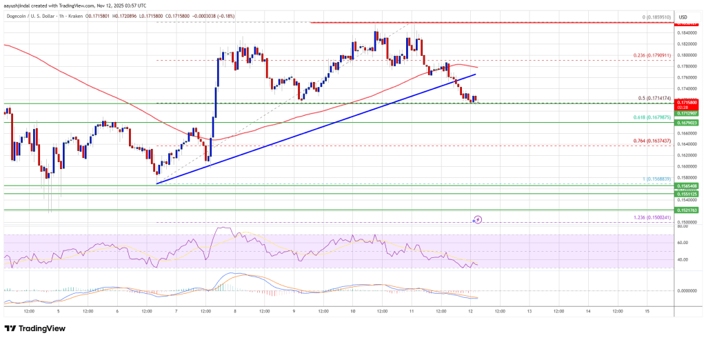 Dogecoin (DOGE)이 약간 하락함 — 바로 아래의 지원으로 새로운 상승세를 촉발할 수 있음