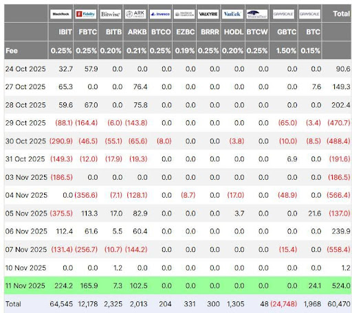 비트코인은 소매를 넘어 이동합니다. 이제 기관 소유권이 시장을 정의합니다