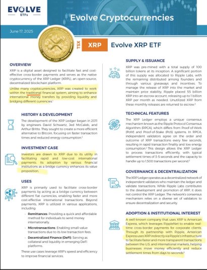 XRP의 실제 목적: 문서에는 바이러스성 주장과 반대되는 결제 유틸리티가 표시됩니다. — 세부 정보