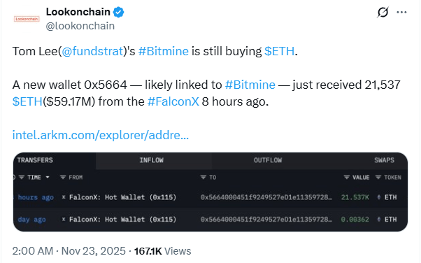 BitMine은 $SUBBD 사전 판매가 가열되는 동안 시장이 회복됨에 따라 이더리움에 6천만 달러를 추가합니다