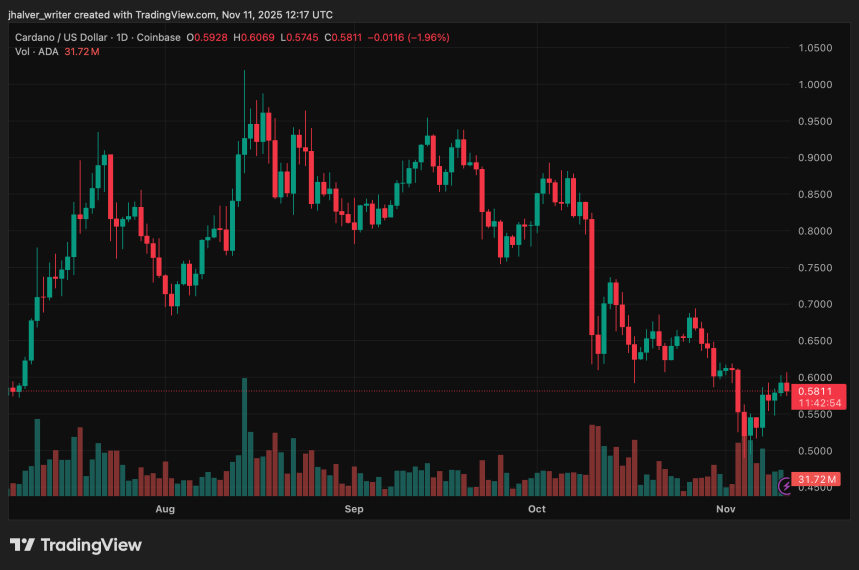 Cardano(ADA) DeFi TVL, 고래가 3억 4,800만 개의 토큰을 축적하면서 3년 최고치를 기록