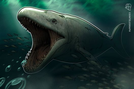 고래의 각성: 휴면 중인 암호화폐 거대 기업이 갑자기 다시 활동하는 이유