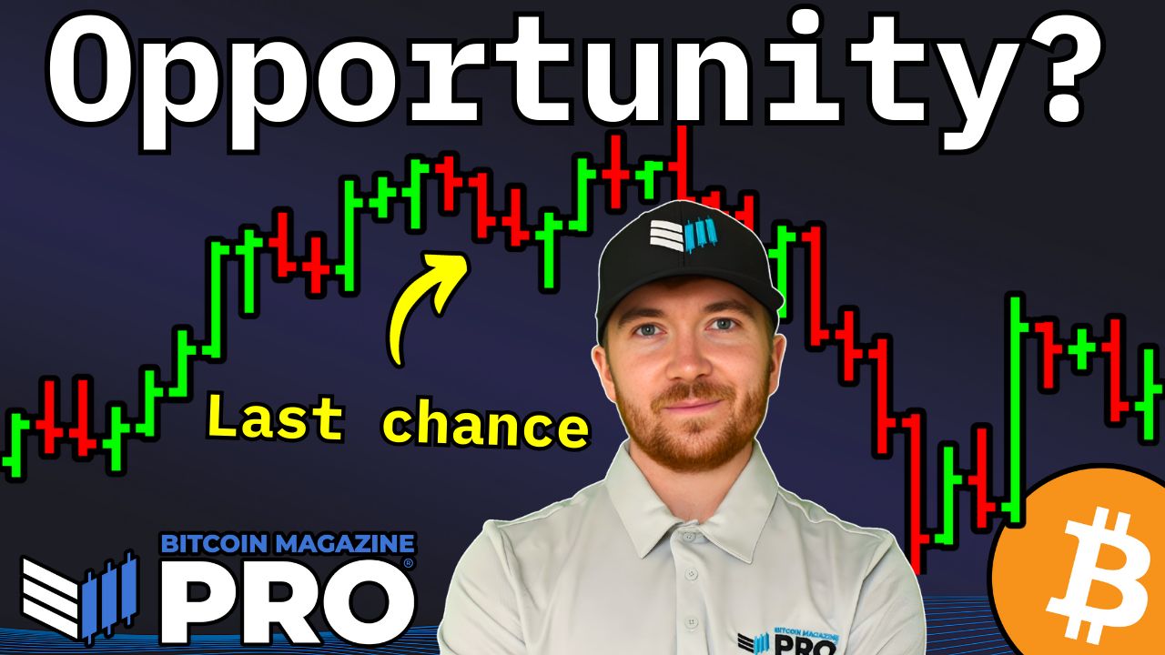 비트코인 국채 회사는 저평가되어 있습니다