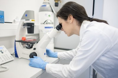 연구자들은 뇌종양에서 예상치 못한 박테리아 침전물을 발견했습니다