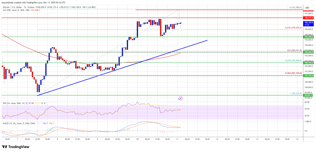 비트코인 가격이 약 107,000달러의 주요 기술 장벽에 직면하고 모멘텀이 느려지기 시작함