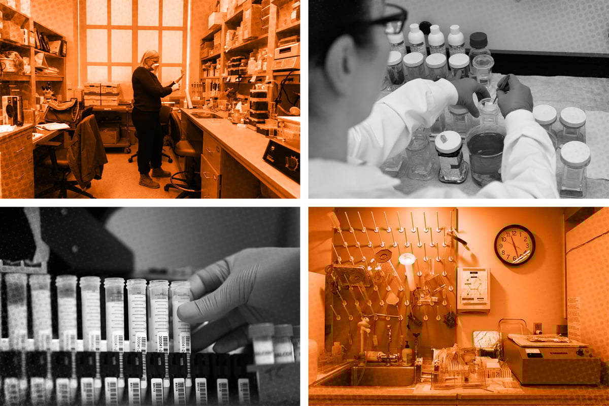 연구를 변화시킨 해