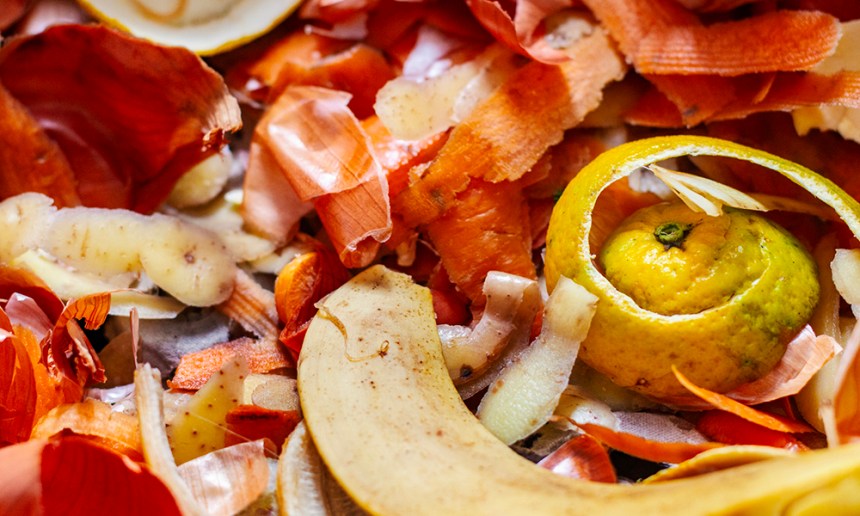 런던 회사, 스마트 음식물 쓰레기통 확장을 위해 130만 파운드 확보