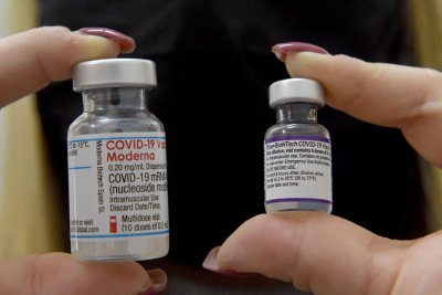 전문가들은 장기 코로나19에 대한 8가지 뚜렷한 증상 경로를 식별합니다