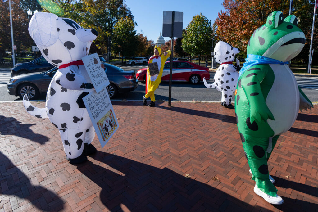 이번주의 사진 | 2025년 10월 31일~11월 6일