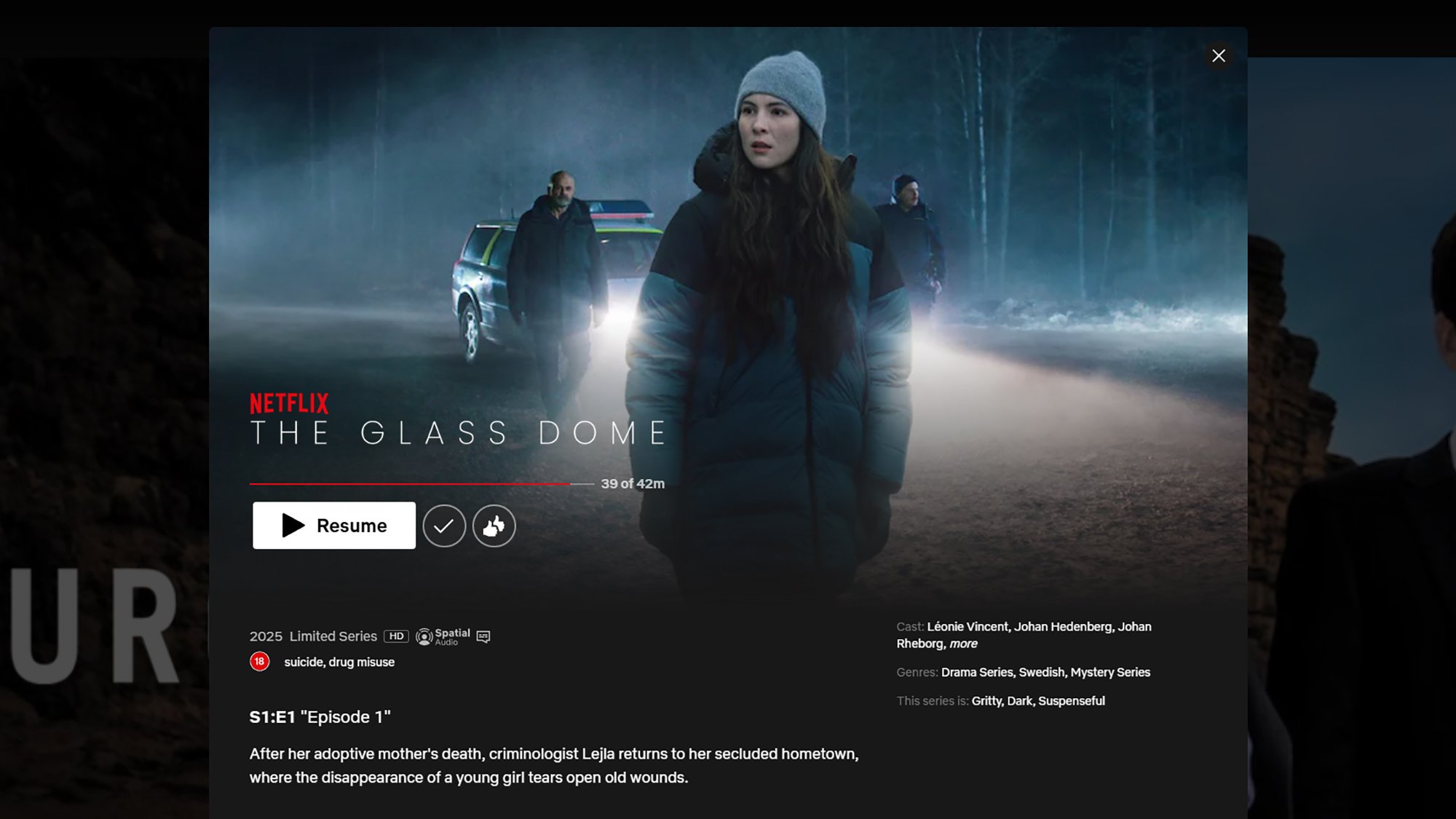 내가 Netflix를 그만두어야 하는 이유