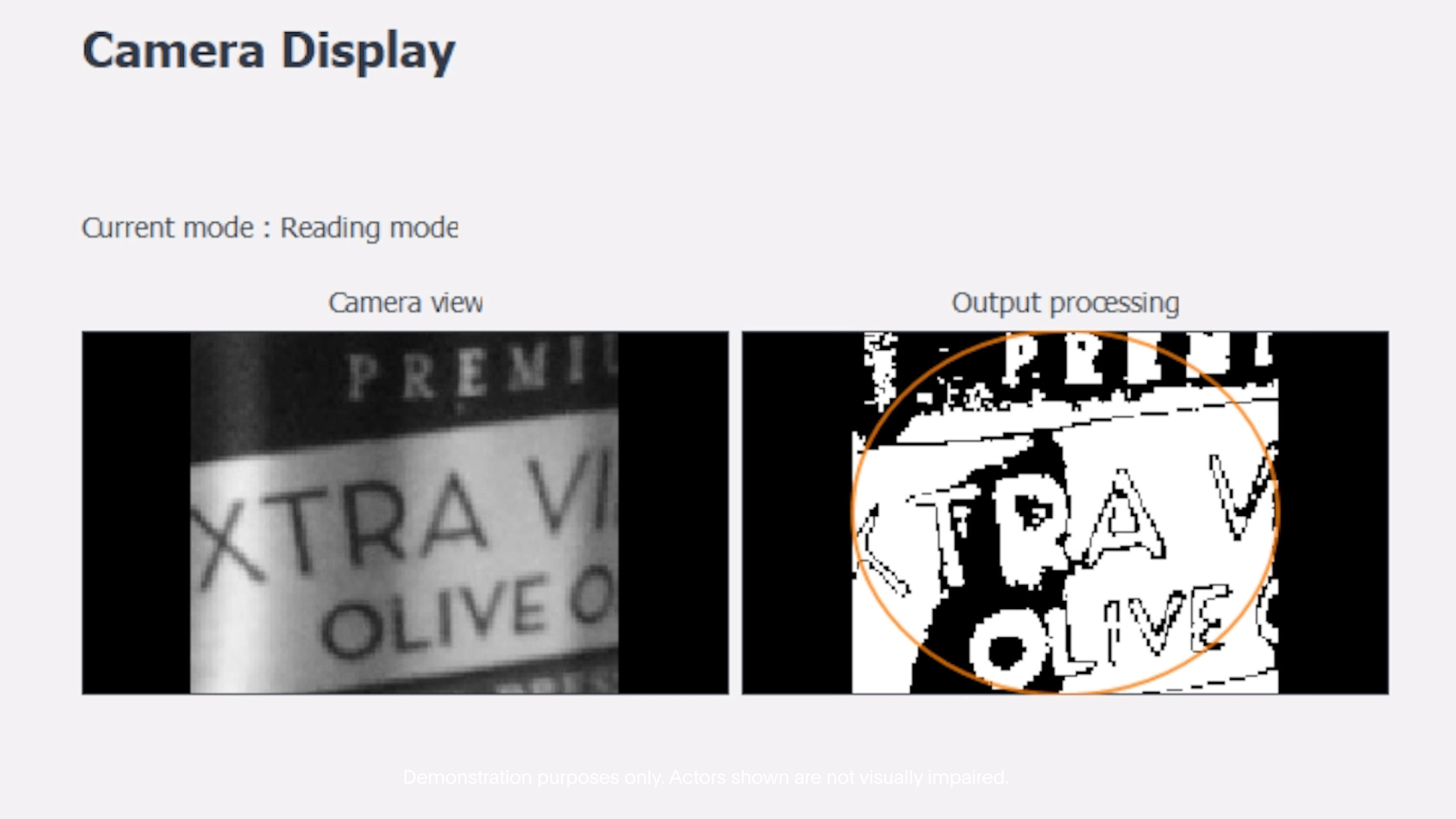 시력을 잃은 사람들이 십자말풀이를 할 수 있게 해주는 망막 임플란트