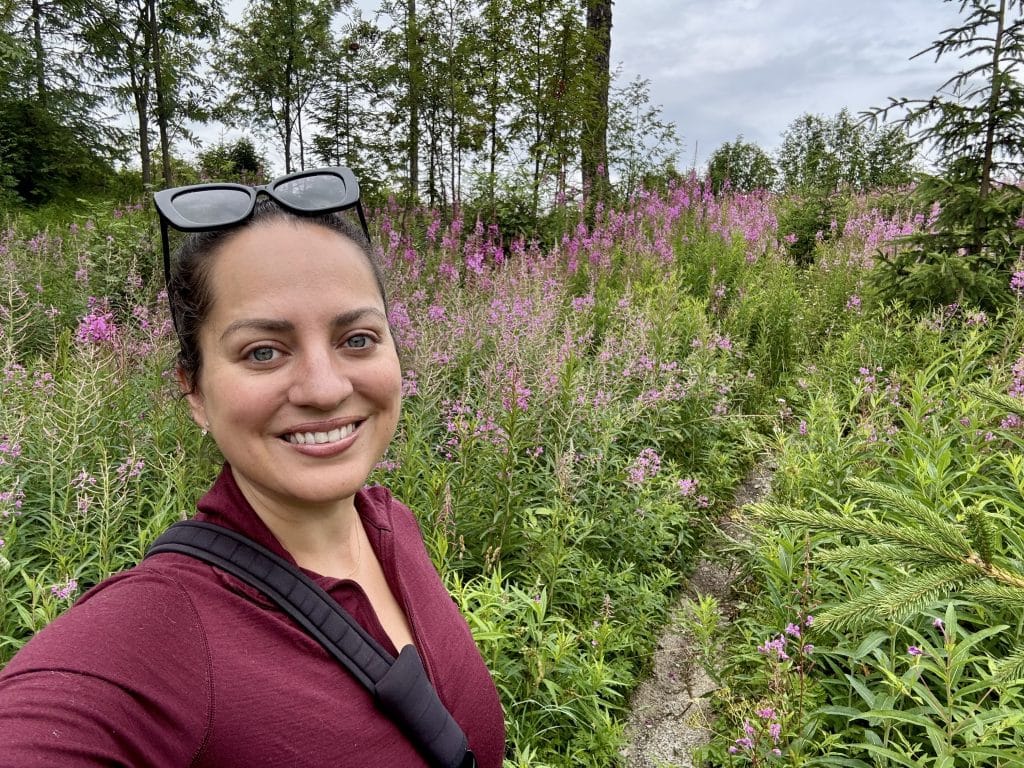 AK 월간 요약: 2025년 8월